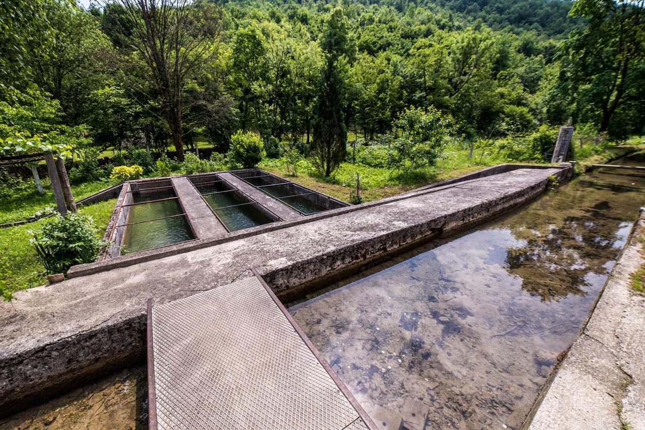 Eko House Dobrenica Villa Bihac Exterior photo